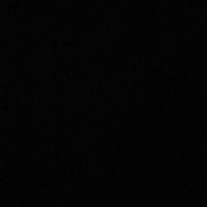 Meet your Posher, Sidney